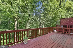 5420 Chieftain Cir, Alexandria, VA 22312 - Photo 57