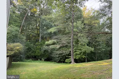 8110 Clifforest Drive, Springfield, VA 22153 - Photo 3