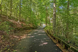 12525 Paradise Spring Rd, Clifton, VA 20124 - Photo 81