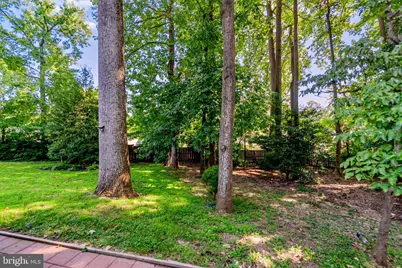 7807 Freehollow Drive, Falls Church, VA 22042 - Photo 29