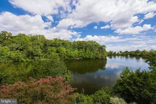 6537 Grange Ln, Alexandria, VA 22315 - Photo 29