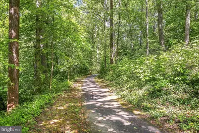 5313 Chieftain Circle, Alexandria, VA 22312 - Photo 39