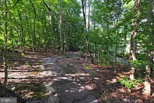 5835 Cove Landing Rd, Burke, VA 22015 - Photo 37