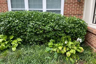 4465 Beacon Grove Cir, Fairfax, VA 22033 - Photo 3