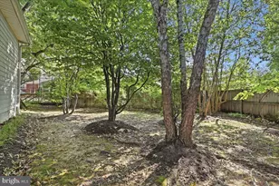 5911 Grayson St, Springfield, VA 22150 - Photo 39