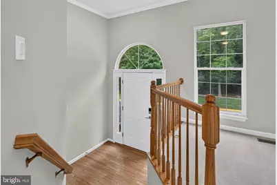 6585 McKenna Way, Alexandria, VA 22315 - Photo 3