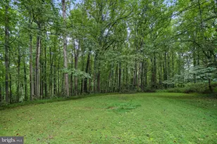 1075 Manning St, Great Falls, VA 22066 - Photo 53