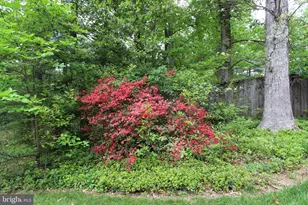 3403 Valewood Dr, Oakton, VA 22124 - Photo 45
