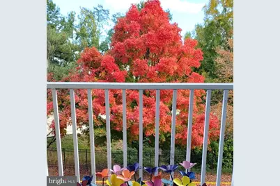 7000 Falls Reach Drive #203, Falls Church, VA 22043 - Photo 5