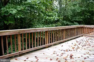 4475 Monmouth St, Fairfax, VA 22030 - Photo 29
