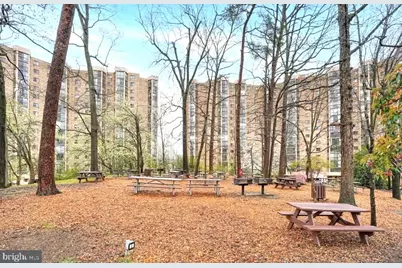 5903 Mount Eagle Drive #509, Alexandria, VA 22303 - Photo 1