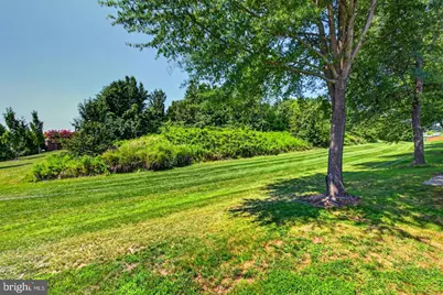 5694 Tower Hill Circle, Alexandria, VA 22315 - Photo 5