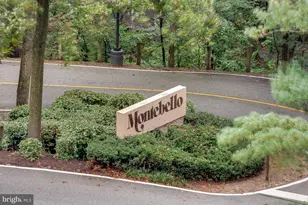 5903 Mt Eagle Dr, Alexandria, VA 22303 - Photo 11