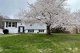 6717 Anthony St, Alexandria, VA 22306 - Photo 3