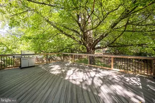 1317 MacBeth St, McLean, VA 22102 - Photo 13