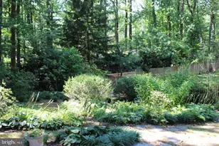 3720 Woodland Cir, Falls Church, VA 22041 - Photo 27