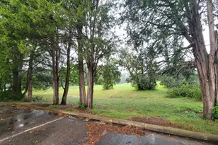 3961 San Leandro Pl, Alexandria, VA 22309 - Photo 27