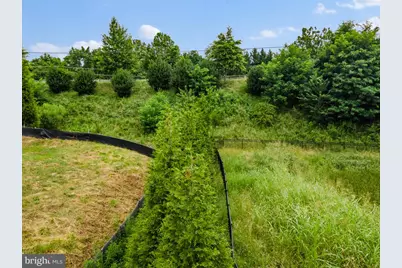 11703 Sugarland Road, Herndon, VA 20170 - Photo 5