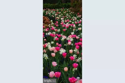 1288 Ballantrae Farm Drive, McLean, VA 22101 - Photo 47
