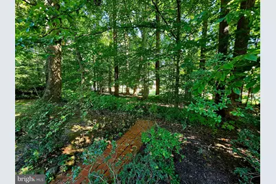 5017 Dodson Drive, Annandale, VA 22003 - Photo 11