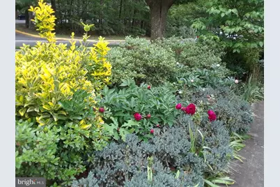 6010 Timber Hollow Lane, Springfield, VA 22152 - Photo 5