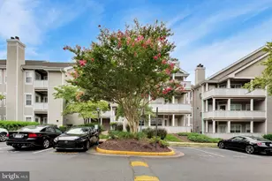 14313 Climbing Rose Way, Centreville, VA 20121 - Photo 1