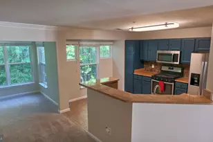 6608 Netties Ln, Alexandria, VA 22315 - Photo 23