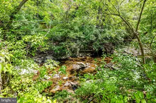 6116 Franklin Park Rd, McLean, VA 22101 - Photo 45
