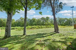 9517 Retriever Rd, Burke, VA 22015 - Photo 73