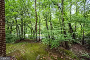 1423 Northgate Square, Reston, VA 20190 - Photo 21