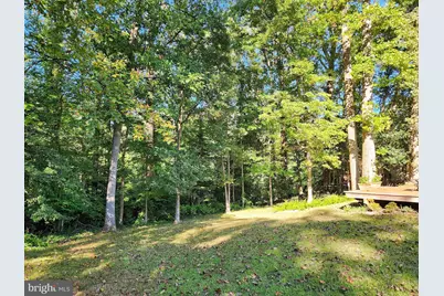 8112 Dabney Avenue, Springfield, VA 22152 - Photo 51