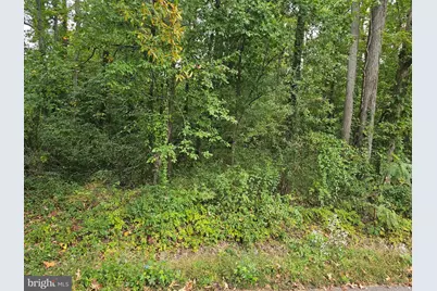 5800 River Drive, Lorton, VA 22079 - Photo 5
