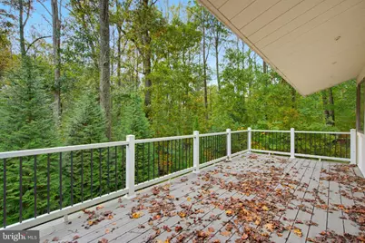 518 Springvale Road, Great Falls, VA 22066 - Photo 53