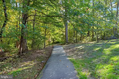 12468 Sweet Leaf Terrace, Fairfax, VA 22033 - Photo 51