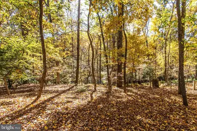 8869 Glenridge Court, Vienna, VA 22182 - Photo 5