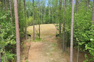 3911 Jett Ct, Gum Spring, VA 23065 - Photo 41