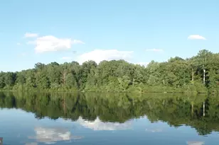 307 Larkspur, Ruckersville, VA 22968 - Photo 71