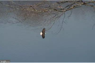 307 Larkspur, Ruckersville, VA 22968 - Photo 67