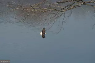 307 Larkspur, Ruckersville, VA 22968 - Photo 67