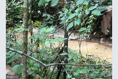 307 Larkspur, Ruckersville, VA 22968 - Photo 59