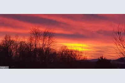 307 Larkspur, Ruckersville, VA 22968 - Photo 69