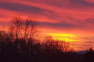 307 Larkspur, Ruckersville, VA 22968 - Photo 69