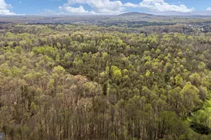 79 E Cedar Dr, Ruckersville, VA 22968 - Photo 61