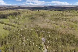 79 E Cedar Dr, Ruckersville, VA 22968 - Photo 51