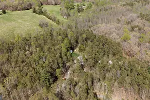 79 E Cedar Dr, Ruckersville, VA 22968 - Photo 55