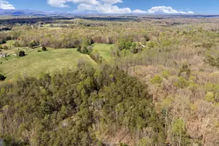 79 E Cedar Dr, Ruckersville, VA 22968 - Photo 57