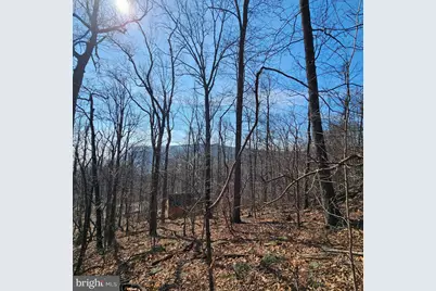 2245 Red Bird Drive, Stanardsville, VA 22973 - Photo 3