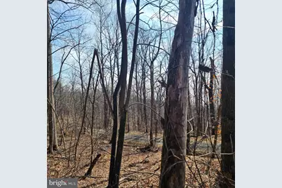 2245 Red Bird Drive, Stanardsville, VA 22973 - Photo 11