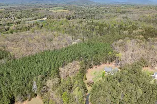 286 Lewis Dr, Ruckersville, VA 22968 - Photo 71