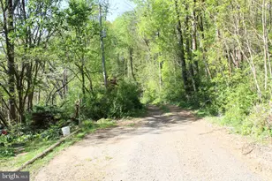 446 Spring Dr, Stanardsville, VA 22973 - Photo 29